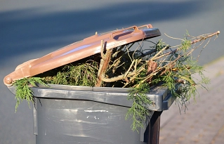 Bild von einer Biotonne mit Gartenabfällen